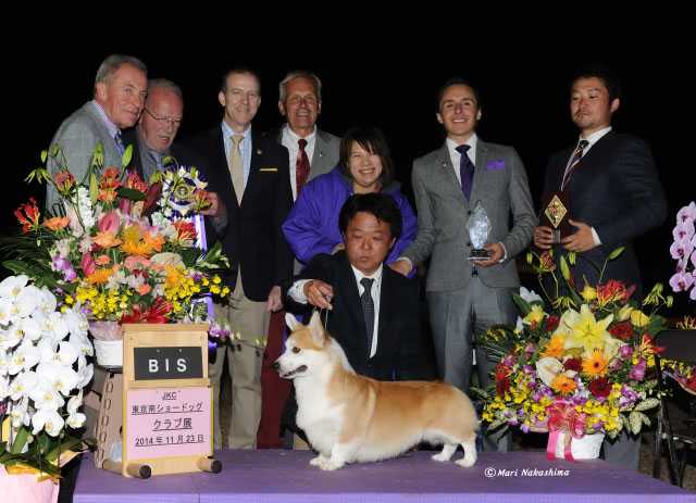 MBIS,AM GCH,INT CH,SUP,JPN CH WW'2015 Balmy Winds JP Jake