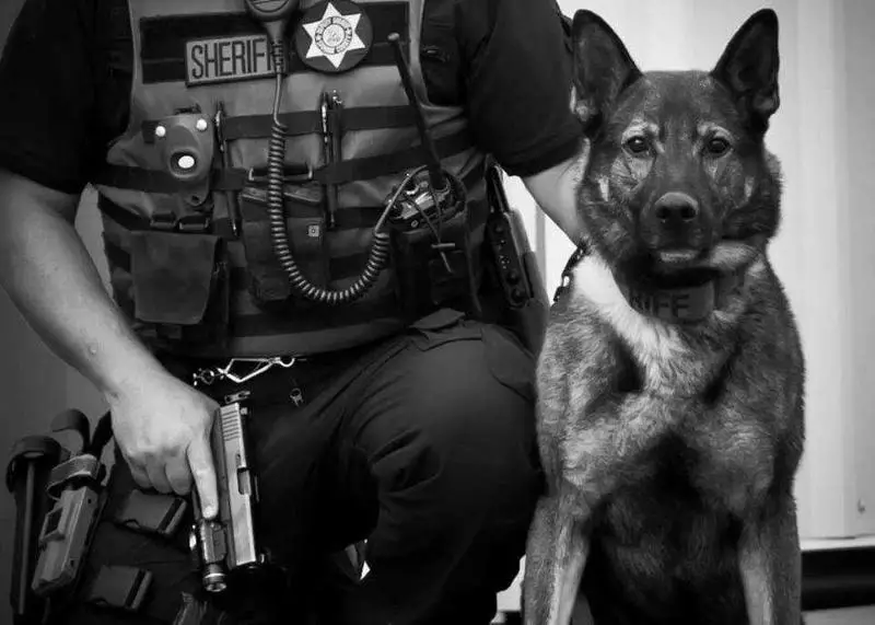 Laslo Von Der Burg Grebenstein