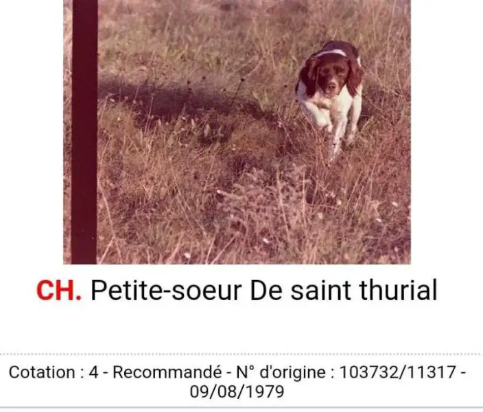 CH.T. CH.GT. PETITE-SOEUR de Saint Thurial