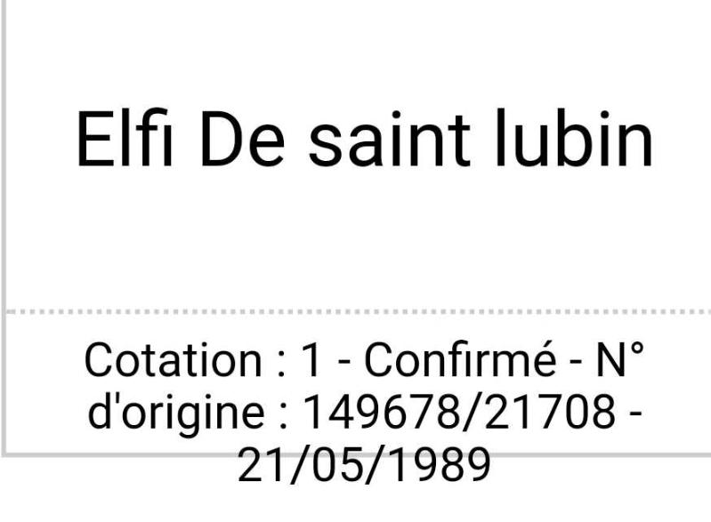 ELFI de Saint Lubin