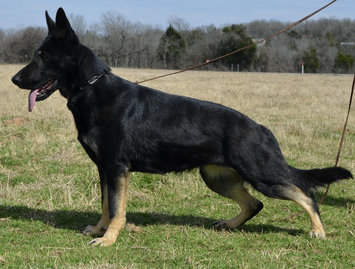 Tuffy z Hrdinneho Odvahy