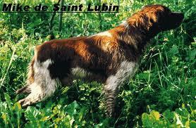 MIKE de Saint Lubin