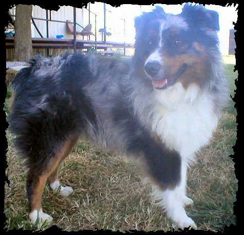 Porter's Blue Canyon