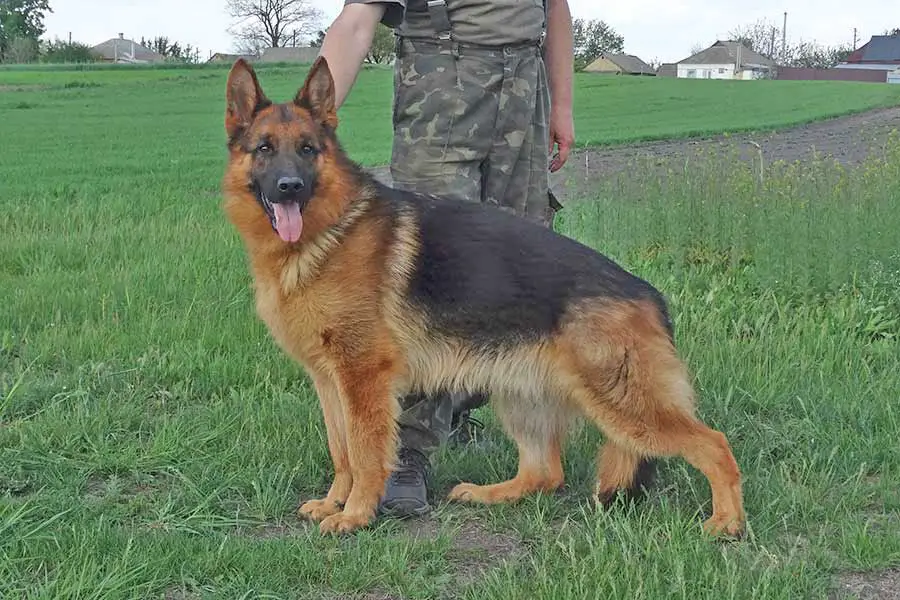 San-Franko no Bartas Krasta