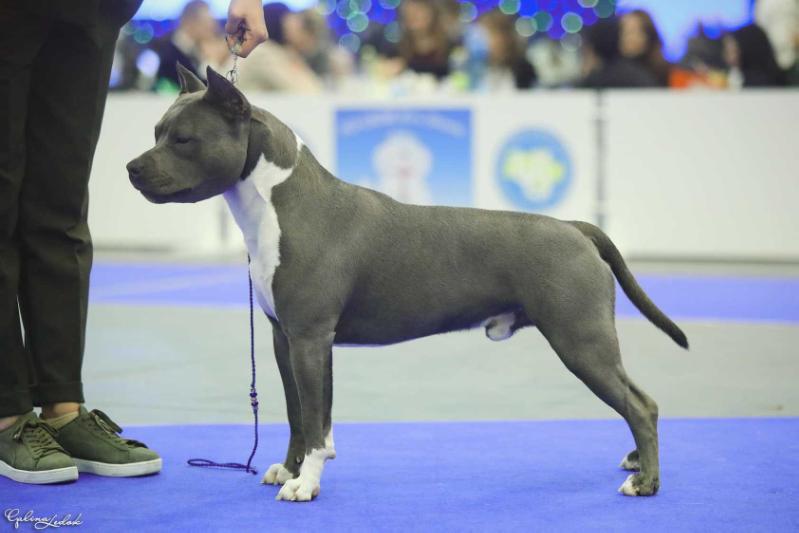 ENJOY DREAMBOAT S ALMAZNOGO OSTROVA