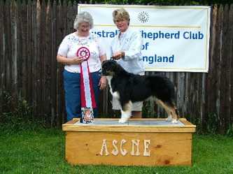 HOF Harmony Hill's Park Ave