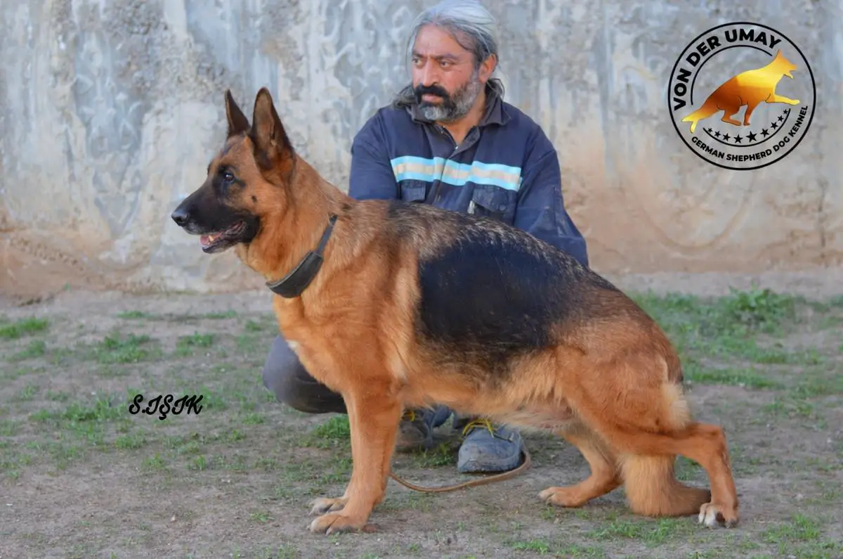 FİESTA VON CESA TEAM