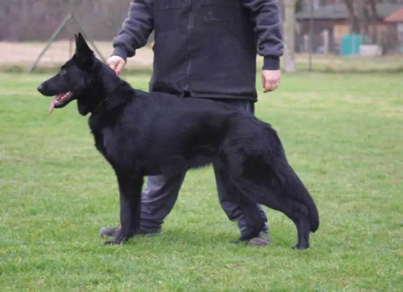 SG July von der Sigisliebe