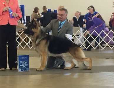 CH J'Mor-Ritarra Any Given Sunday