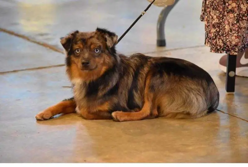 ECH Enchanted Double Clutching @ Double M's