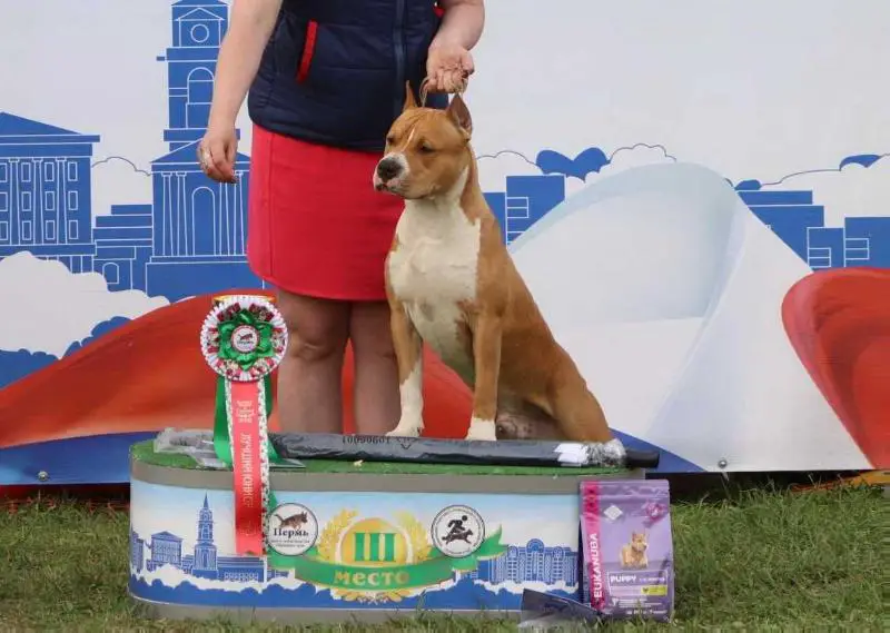 Staff Mystery Remy Martin