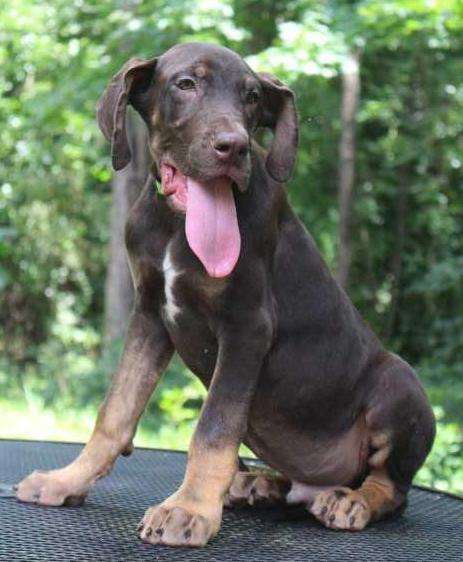 Swampside What A Huge Turkey