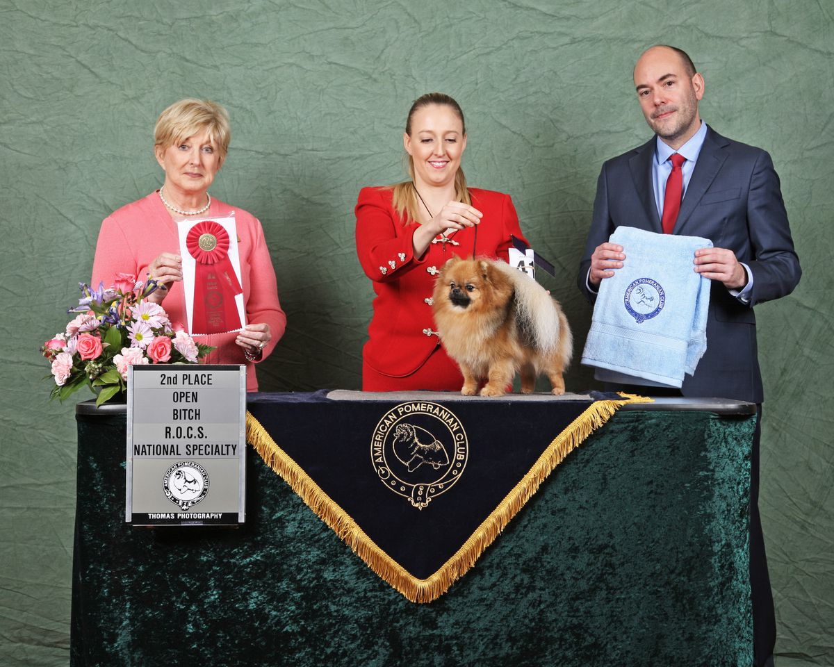 Can Ch Tofini Don't Forget Your Flair