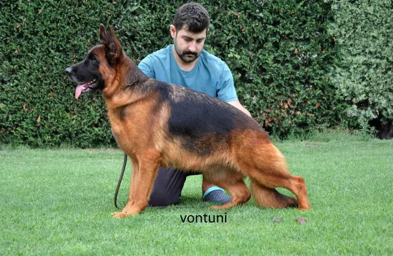 Vita von der Kocaeli