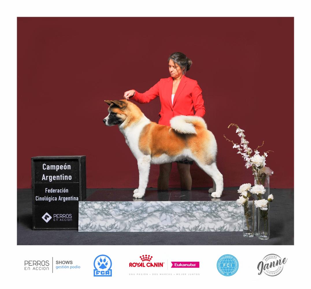 ARG/CHI CH Alvatri So Floroma Porthos At Volmann