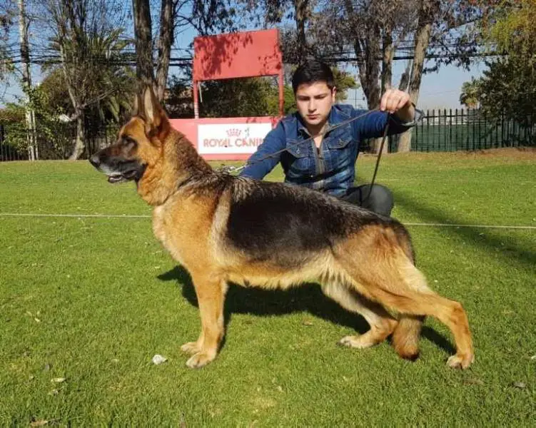 Emma Von Nahuen Barua