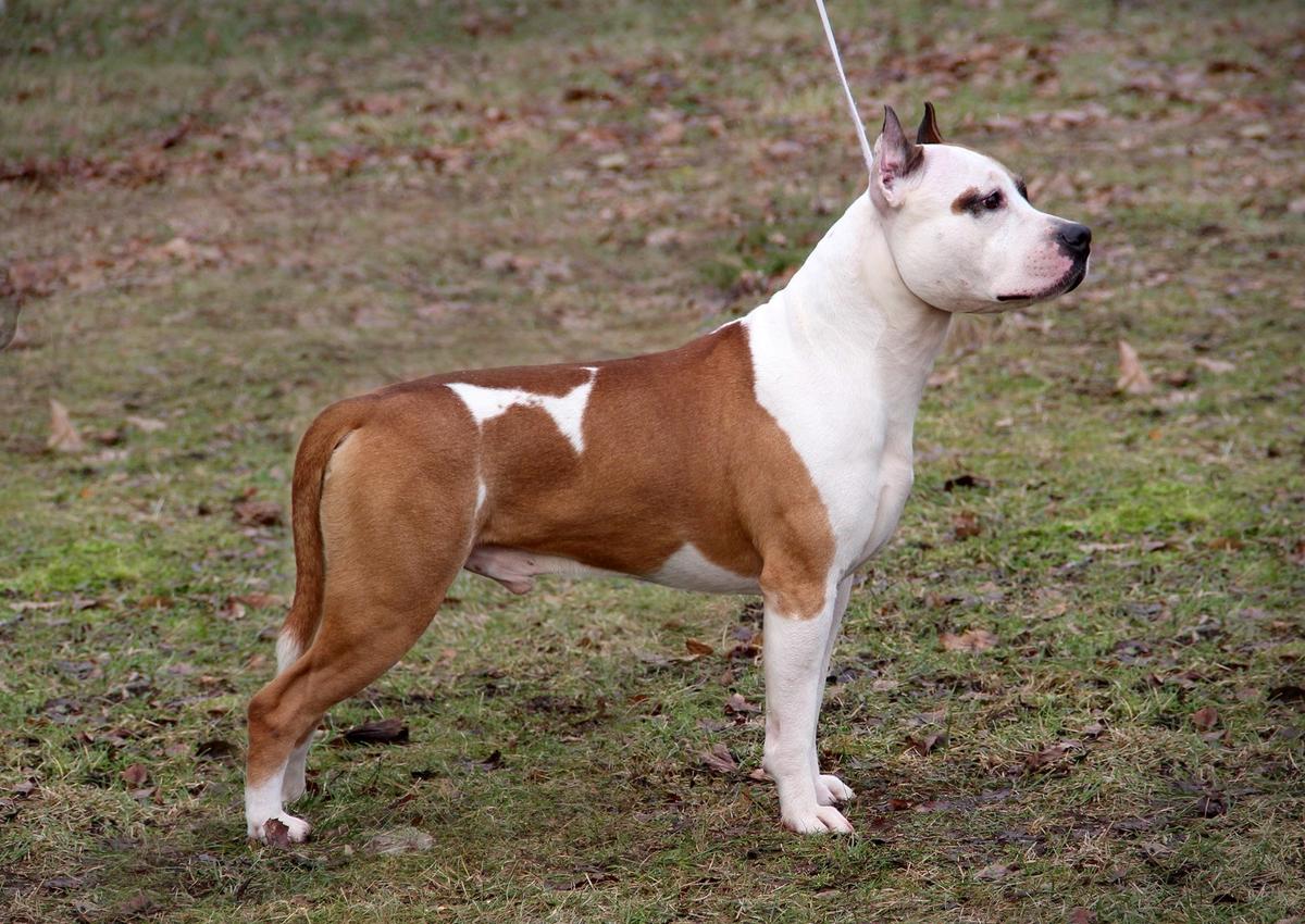 Far Lеp Hardinna Prize of Riford