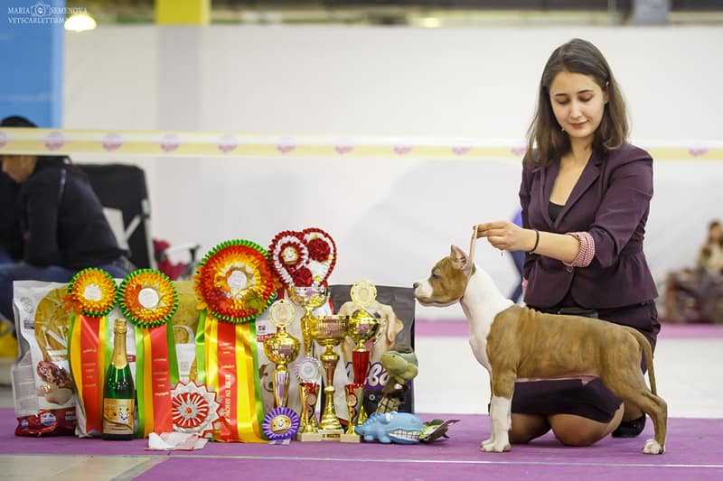 DENVERS ELITE ZOOM ZOOM ALLVIK