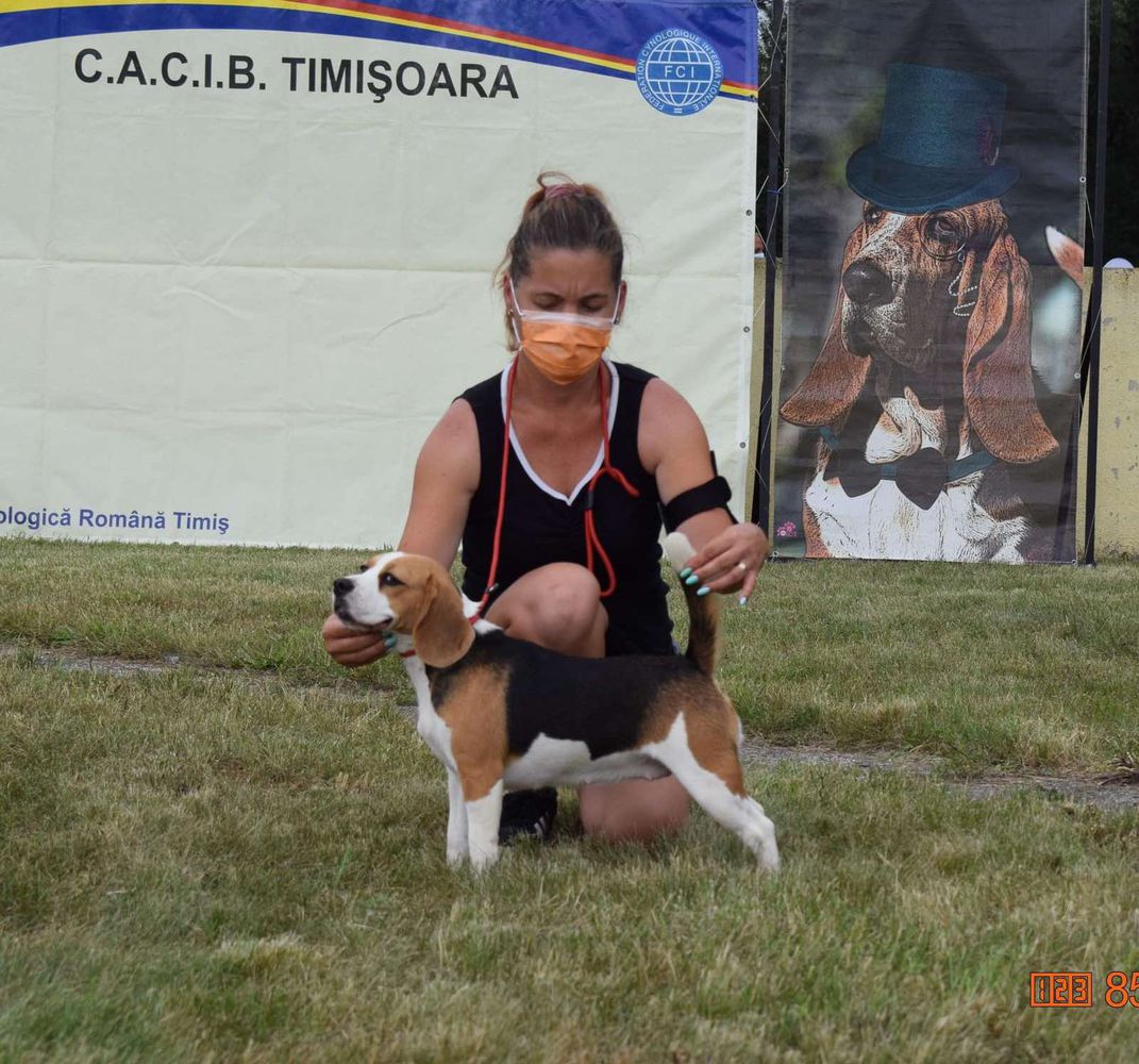 3*CAC, 2*R.CACIB Zhizel Teren