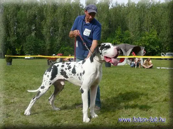 Folton Folt Waterloo