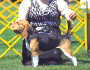 GCH Top Shelf's Park It