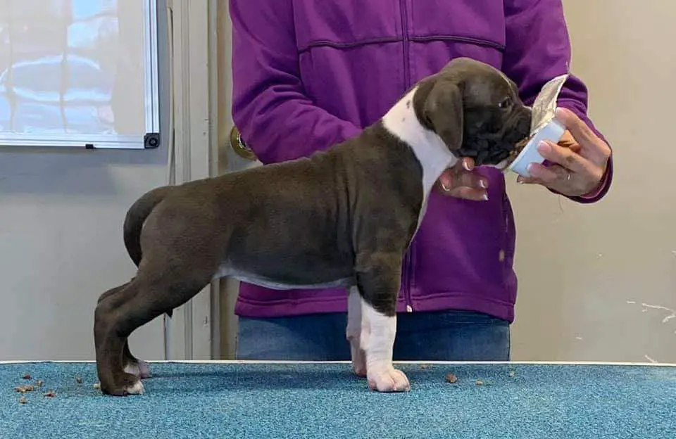 Aiyana Free As Weed Cimar