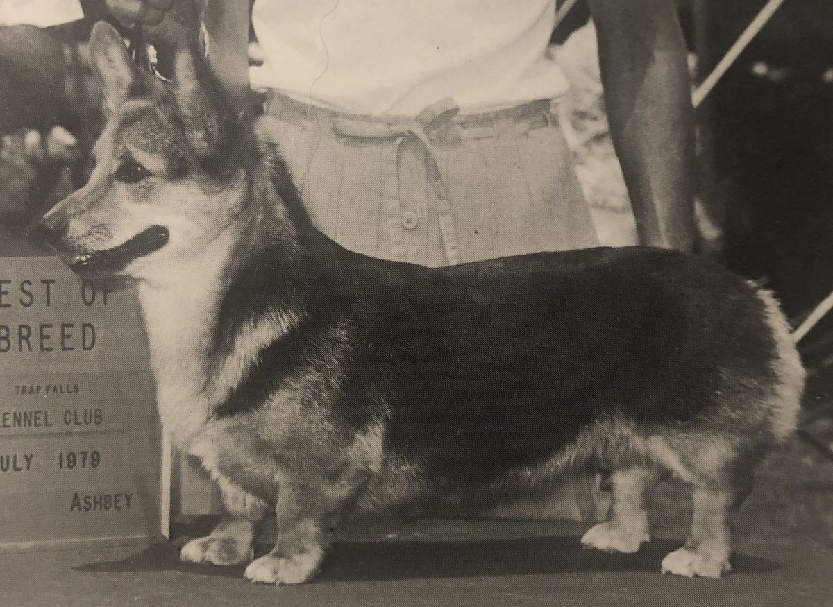 CH Chapmor's Capriole