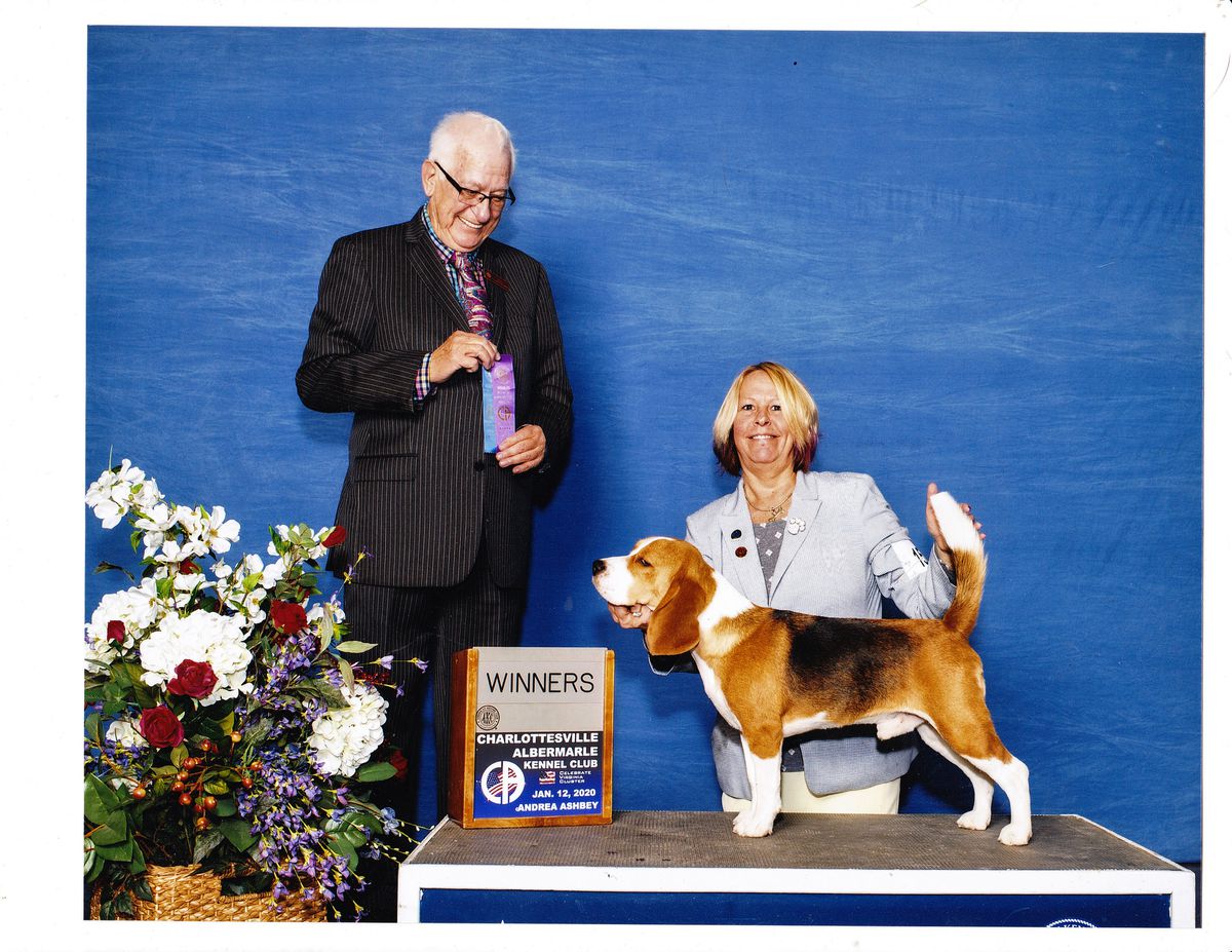 County Line Catfish Blues