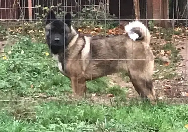 GabriTho's Two Tomb Raider "Lara"