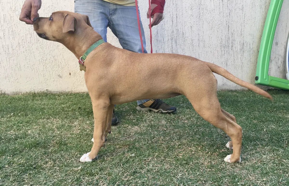 Betty N. Cheek of Y. A.