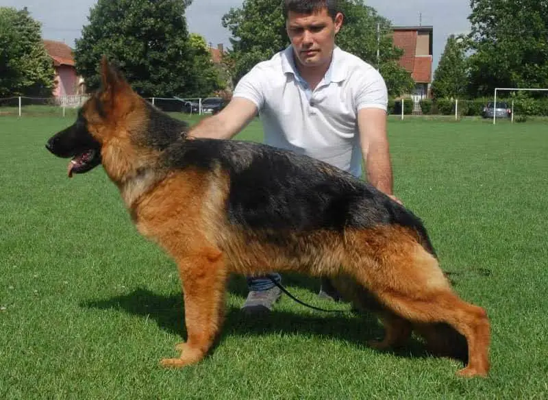 SG 3 Greece siegershow Lana D N Tim Horizont