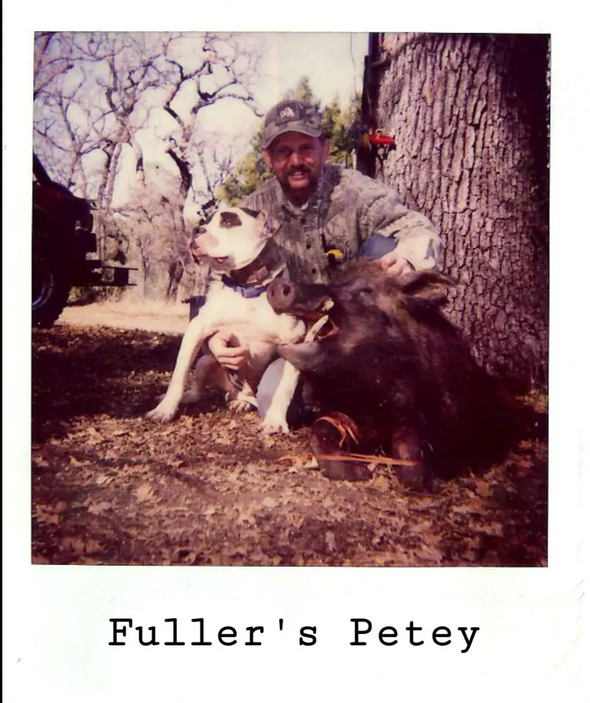 Fuller's Petey