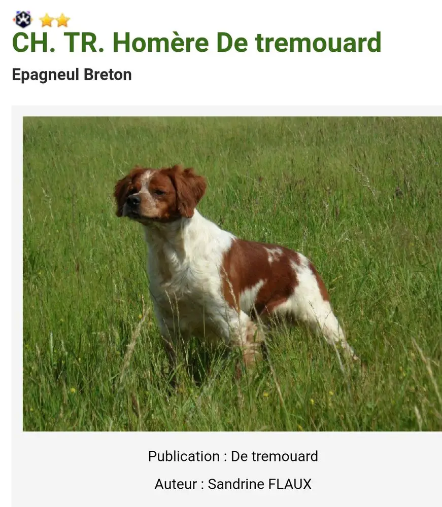 HOMERE de Tremouard