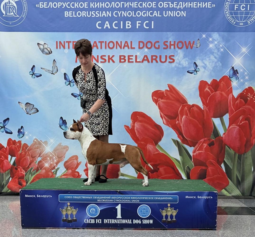 JChRUS,JChRKF, ChRUS, ChRKF, ChCLUB, GrChRUS,ChBLR, GrChBLR Severnaya Zhemchuzhina ULTIMATUM