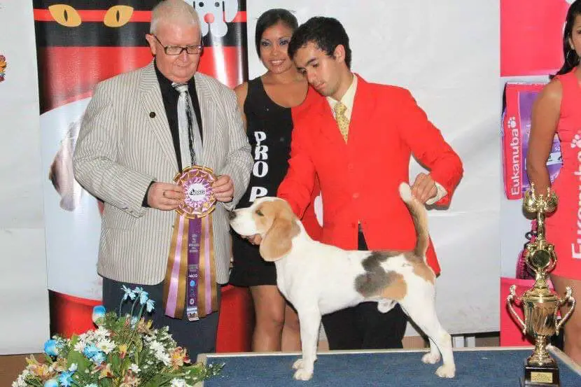 CH.EC.EU.JEC HA-PENNYS CLEAR BLUE SKY