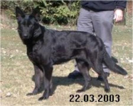 G Britta von Buten Bremen