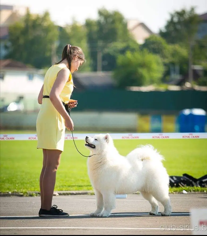 Sormovskaya Zarya Ministr