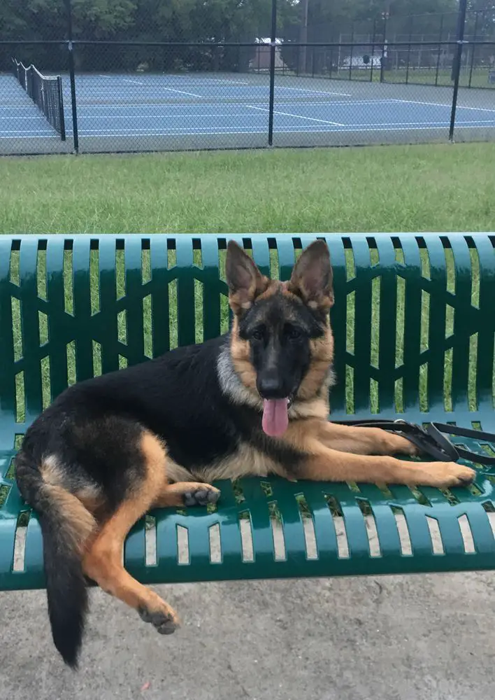 CGC Amira Beesaha Von Vinson-Elbaz