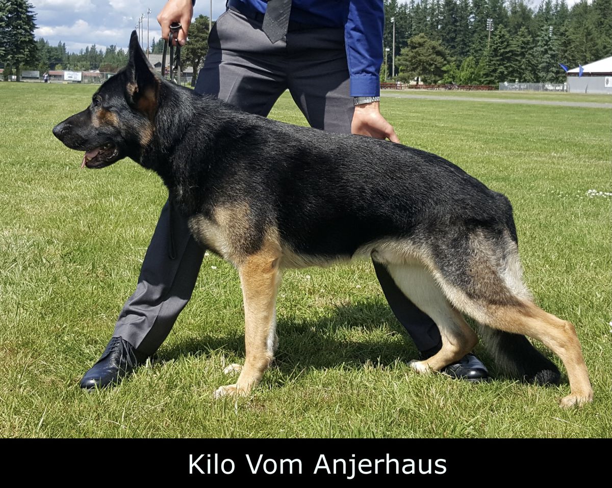 Kilo Vom Anjerhaus