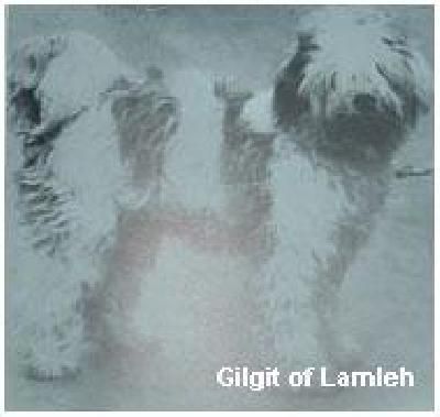 GILGIT OF LAMLEH