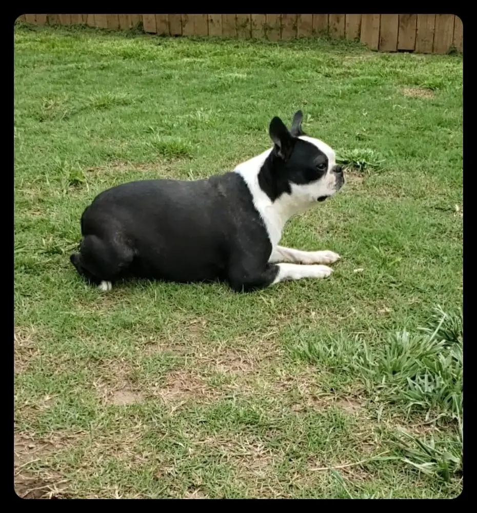 Just Because Popcorn