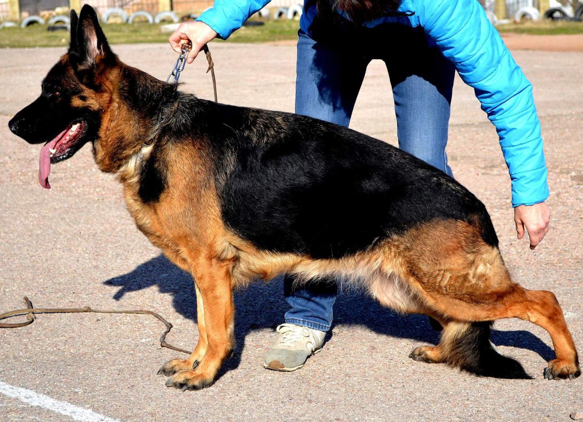 Radamira ot Pani Svyatoslavi