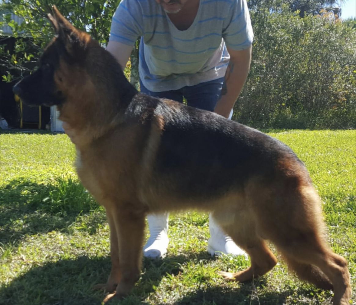 Ypsilon von panoniansee