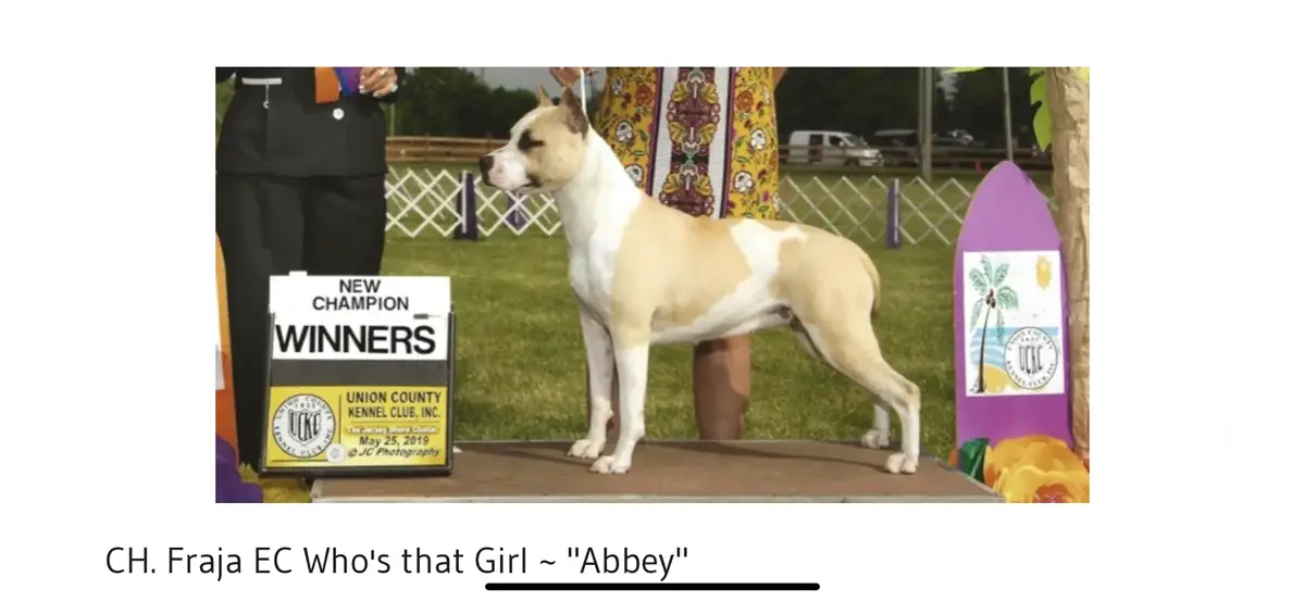 Fraja EC Who's that Girl?