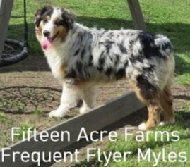 Fifteen Acre Farms Frequent Flyer Myles