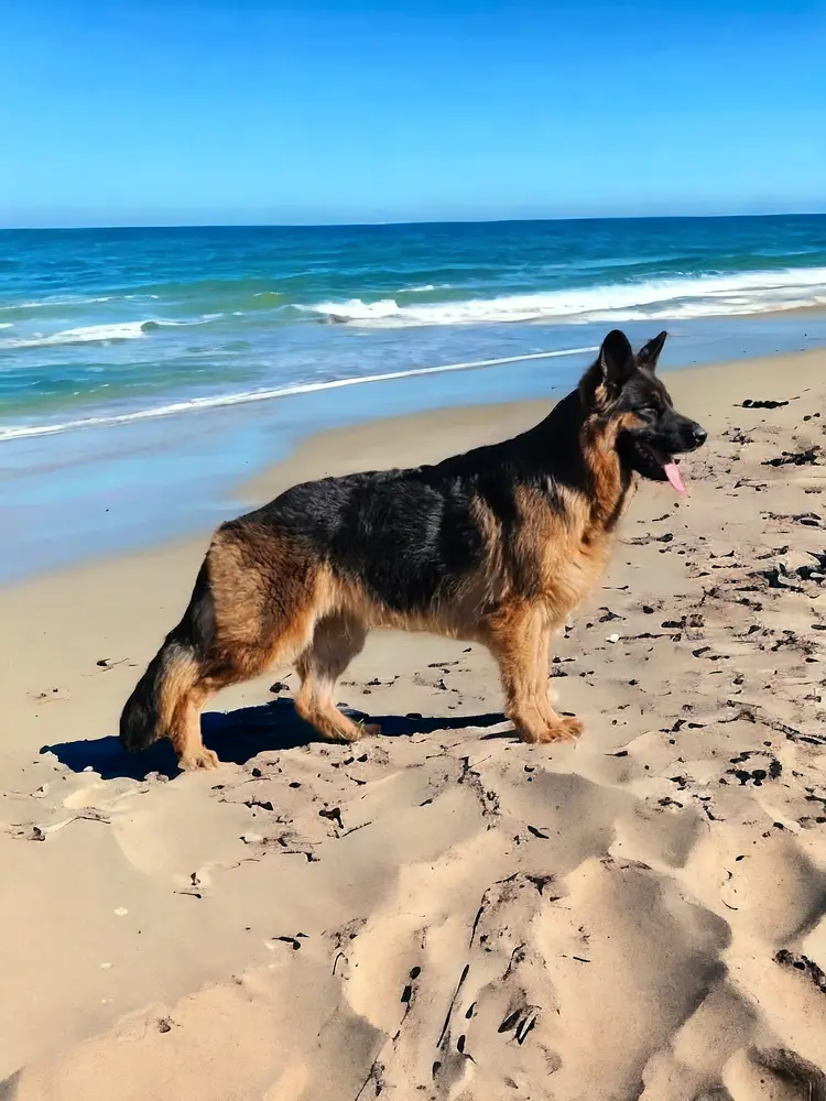 Persevere's I'm Not Okay