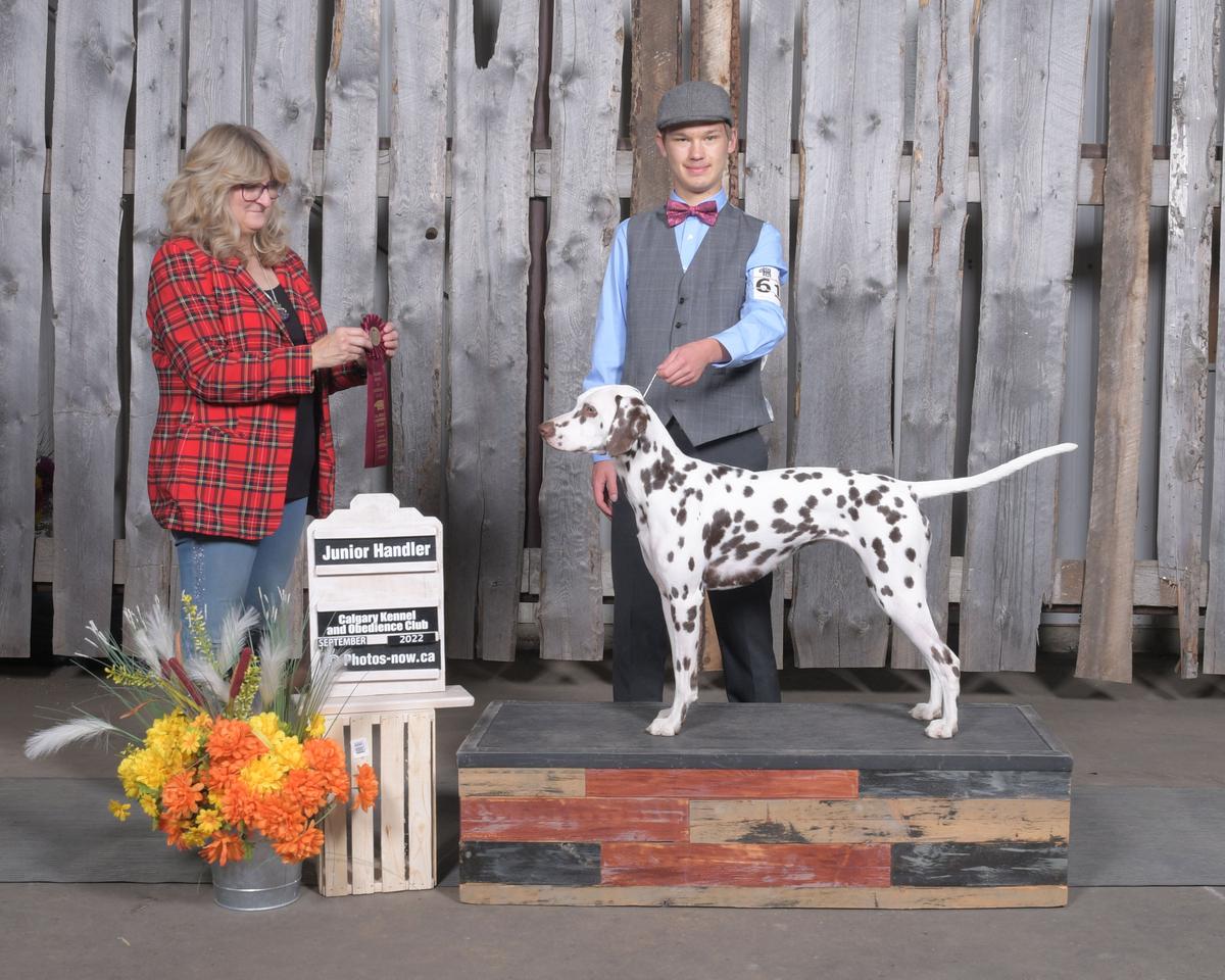 CH R Dals Dazzlin' Pippa