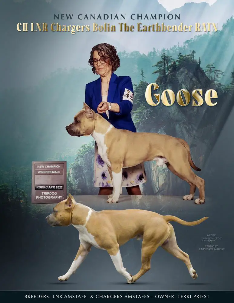 CDN CH LNR Chargers Bolin The Earthbender AKA-Goose