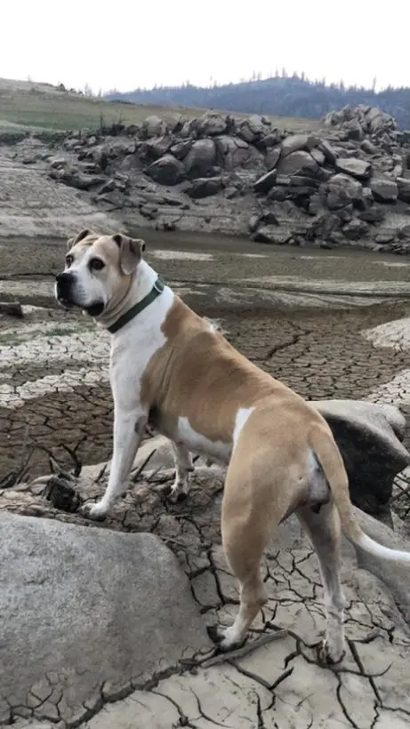 Ratilainen’s Big Maeby Mama Love