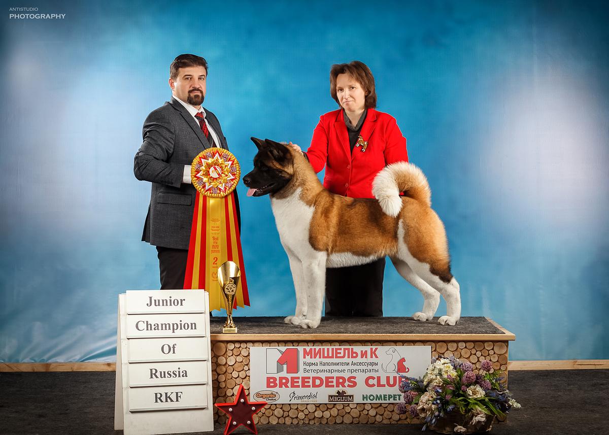 RUS JGCH, RUS/RKF JCH Russtar Arabesca Winner Beauty